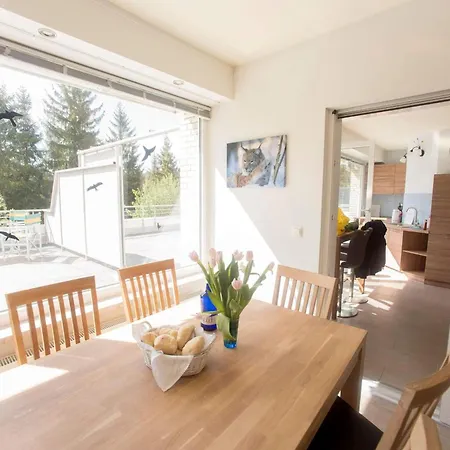 Terrassenhaus 626/627 * Braunlage